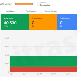 Google Ads & Merchant Center Setup | Fix Misrepresentation & Reactivate Account